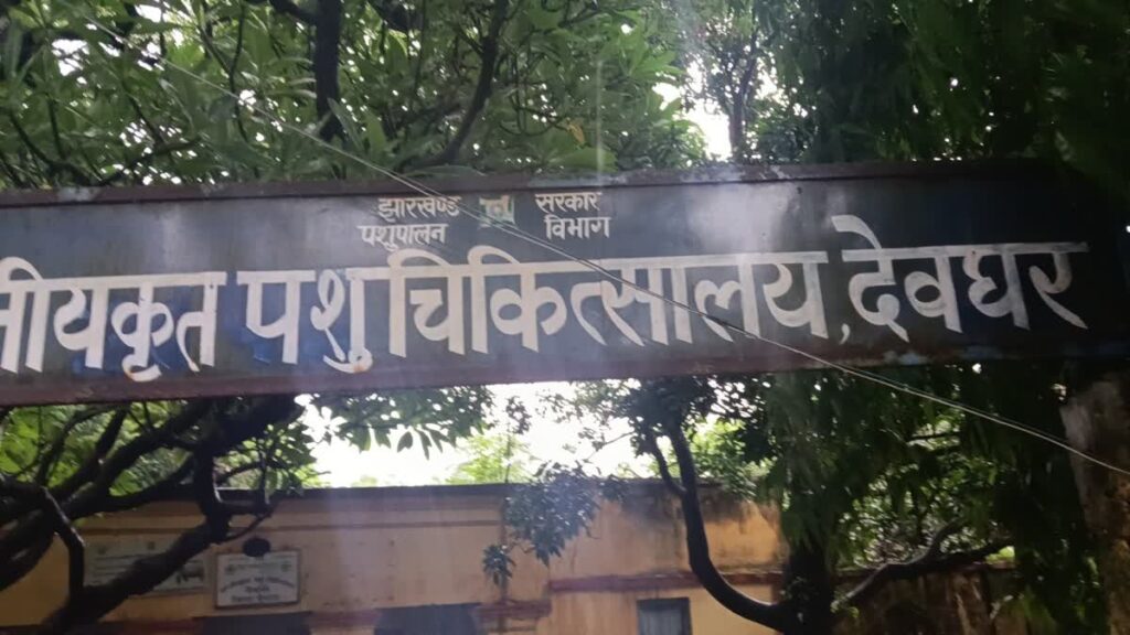 Deoghar Veterinary Hospital 