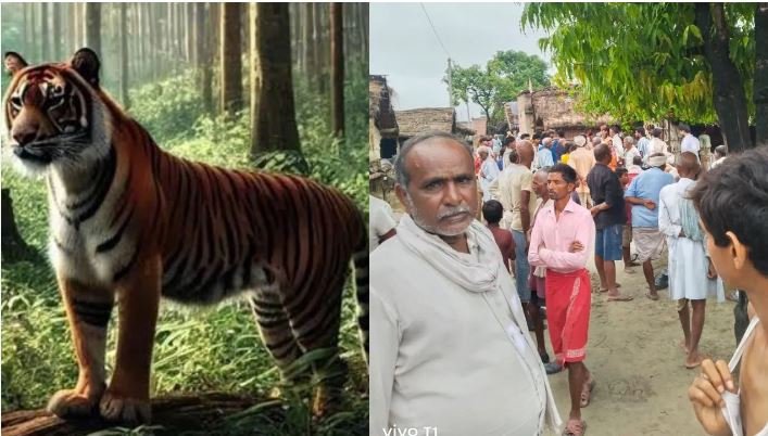 बहराइच में जंगली जानवरों का आतंक