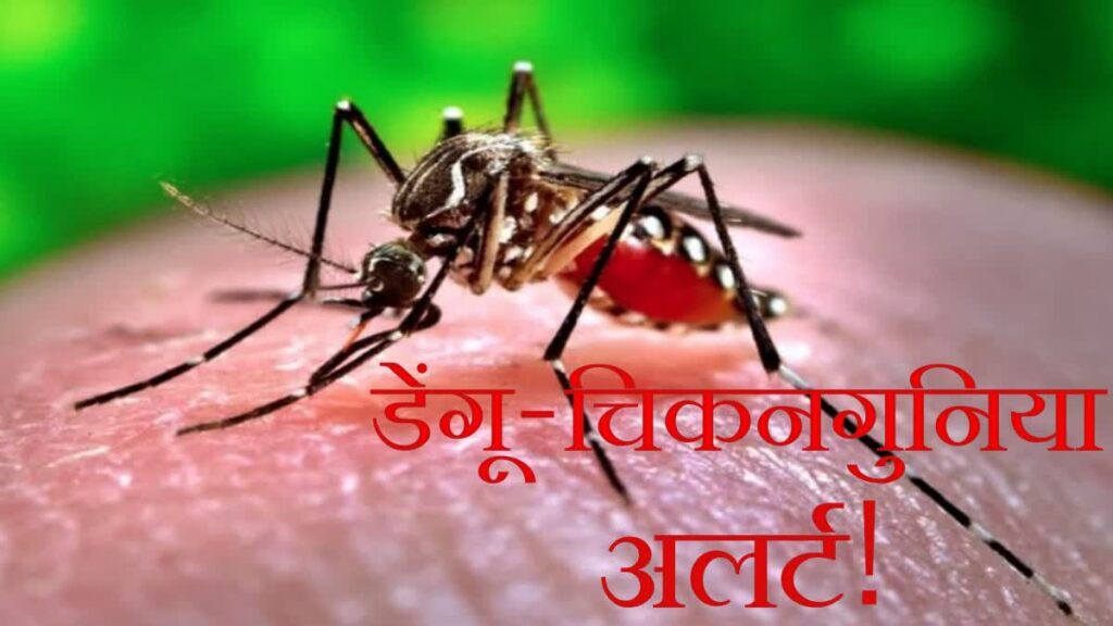 झारखंड में डेंगू-चिकनगुनिया अलर्ट