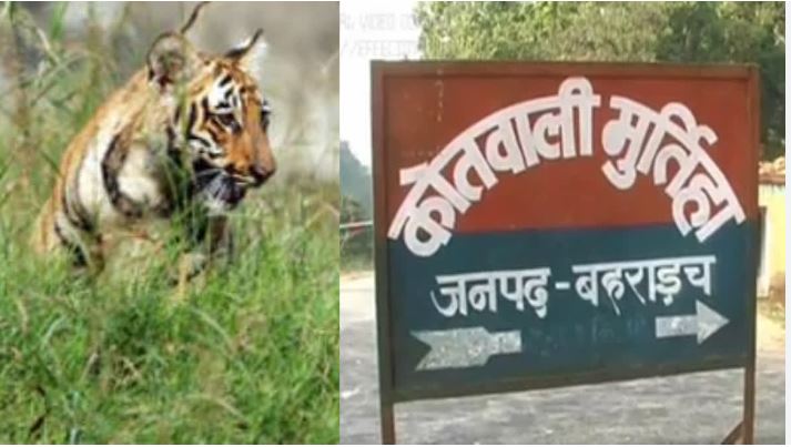 बहराइच में जंगली जानवरों का आतंक