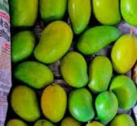 Amrapali Mango Export