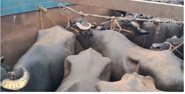 पश्चिम बंगाल-झारखंड सीमा पर