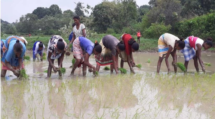  झारखंड मानसून