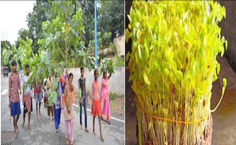 भादो एकादशी