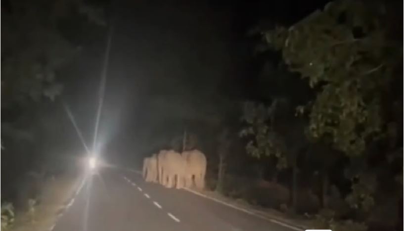 झारखंड के गढ़वा जिले